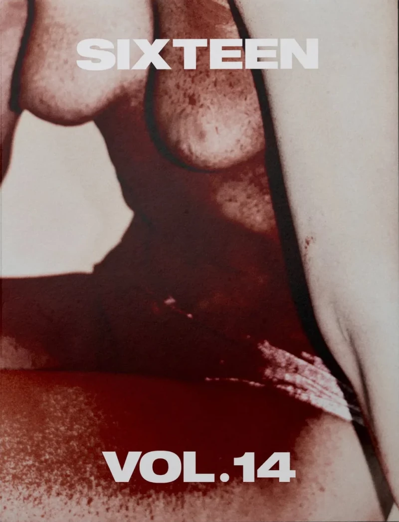 sixteen_volume_14_cover_3_1512x_84c4fe2d-bc65-4755-a20b-4c37c8e1549d