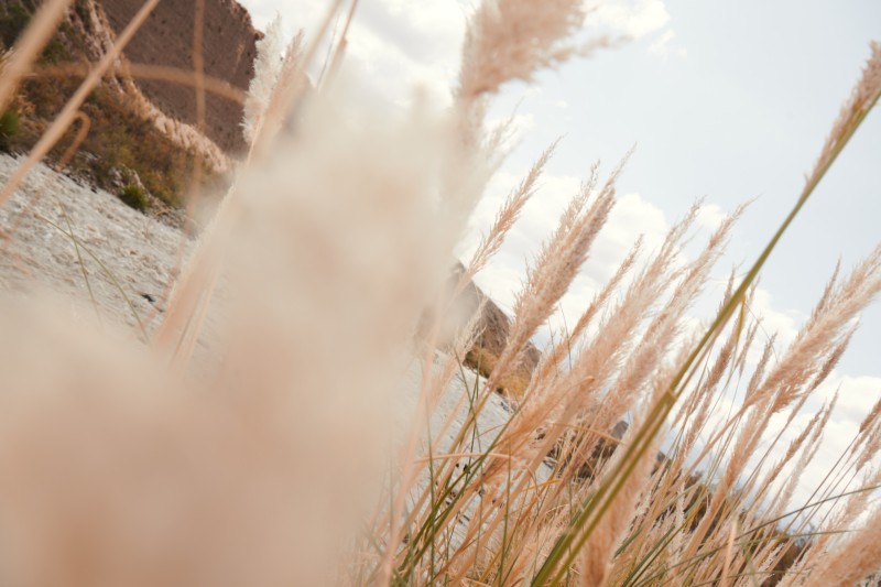 2001_chandon_argentine_03_global_2573