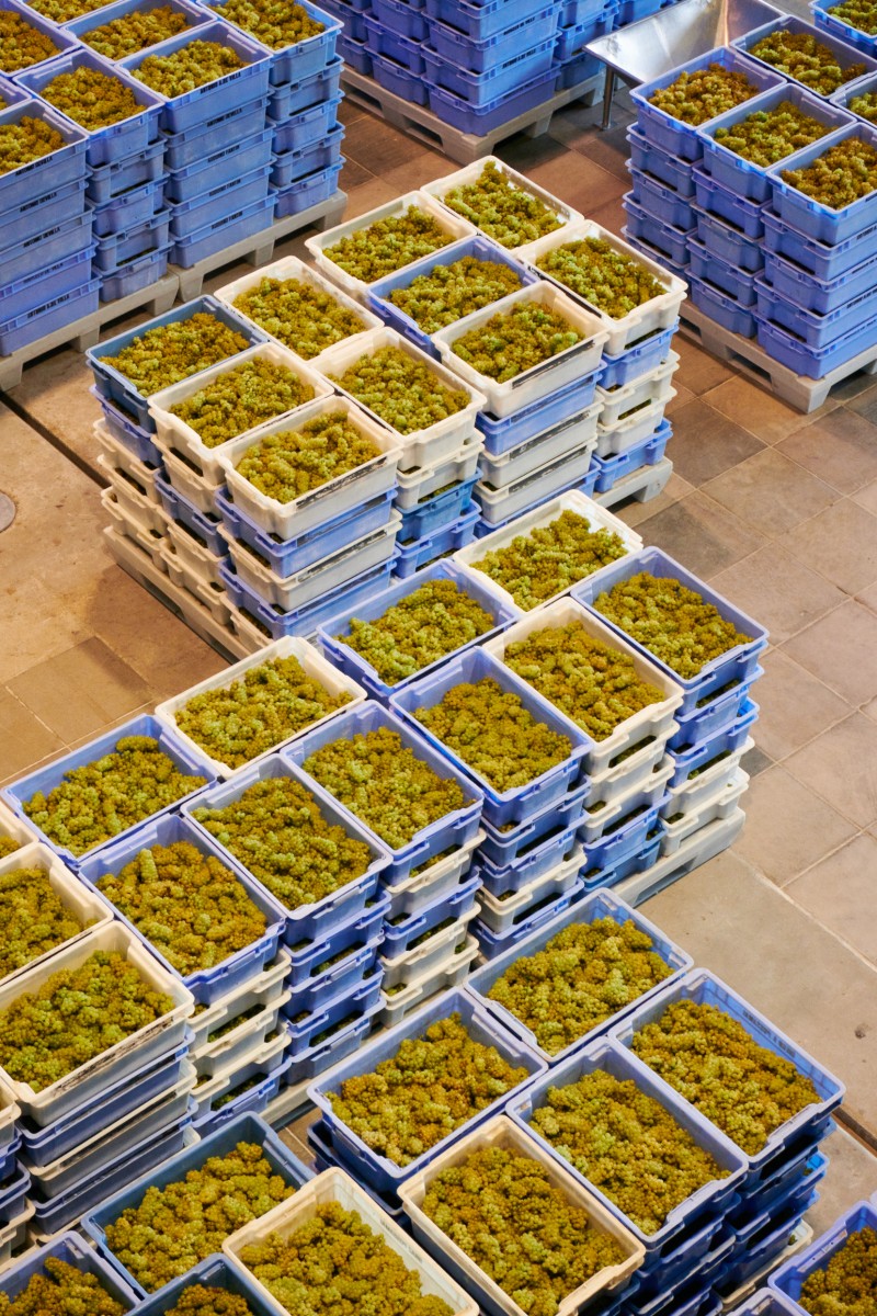 2001_chandon_bresil_07_know_how_538