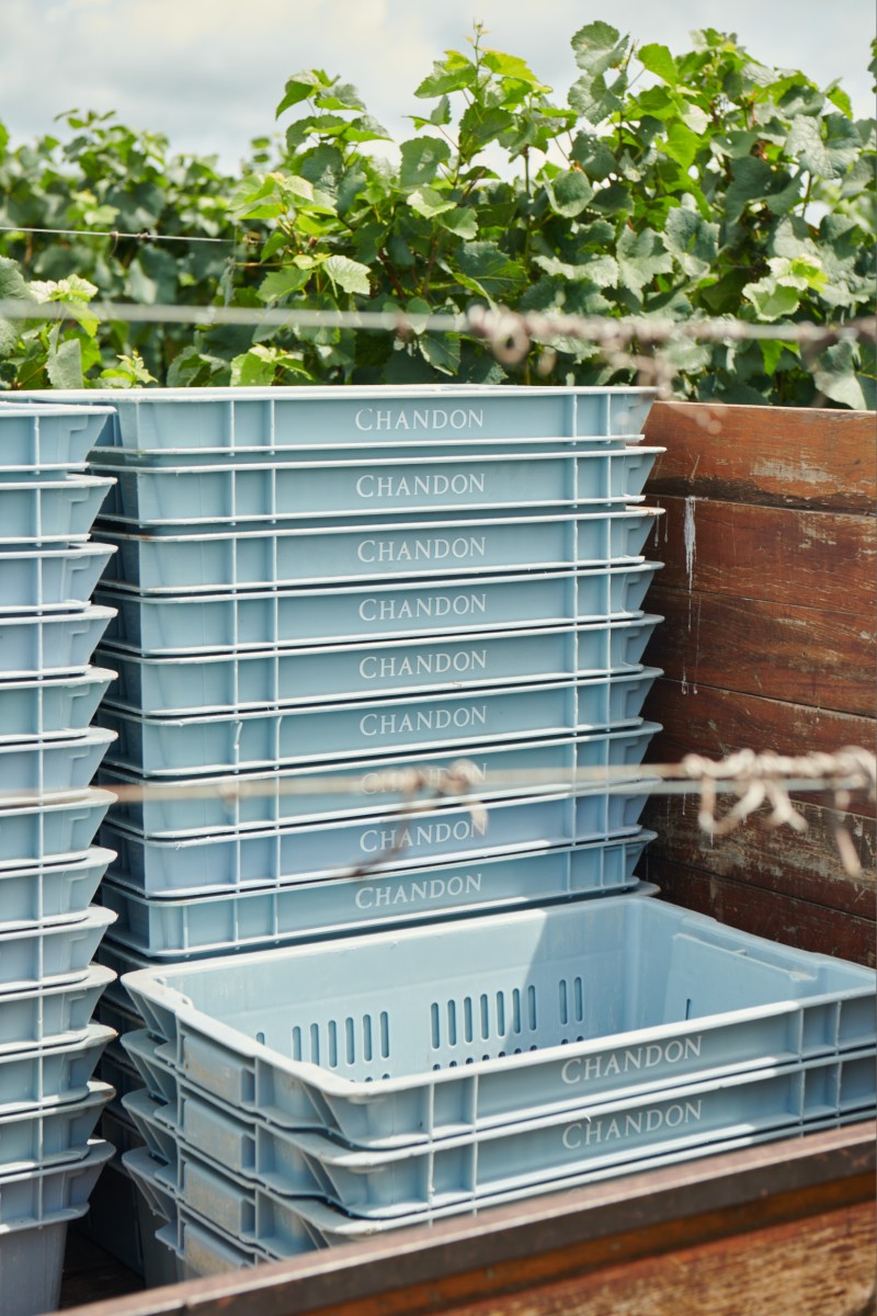 2001_chandon_bresil_04_workers_342