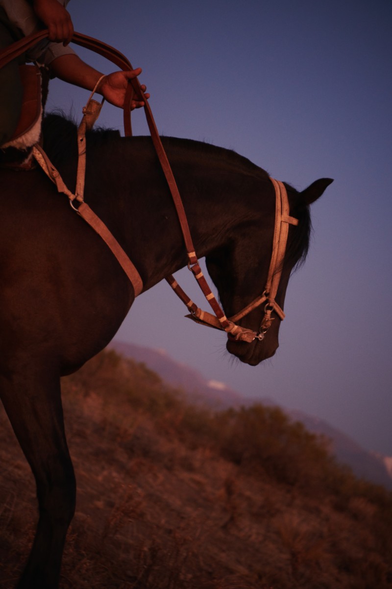 2001_chandon_argentine_04_workers_2912