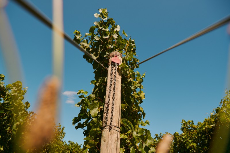 2002_chandon_australie_00_global_829