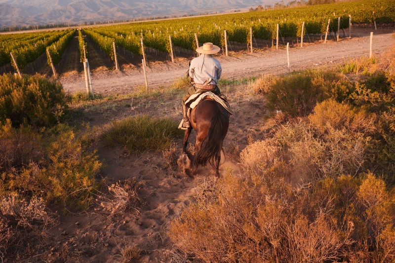 2001_chandon_argentine_04_workers_3546