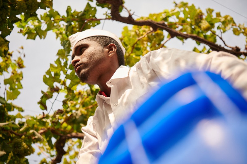 2002_chandon_inde_01_workers_2320