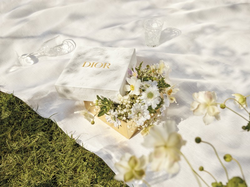 f859-fdm-22-p01d-boite