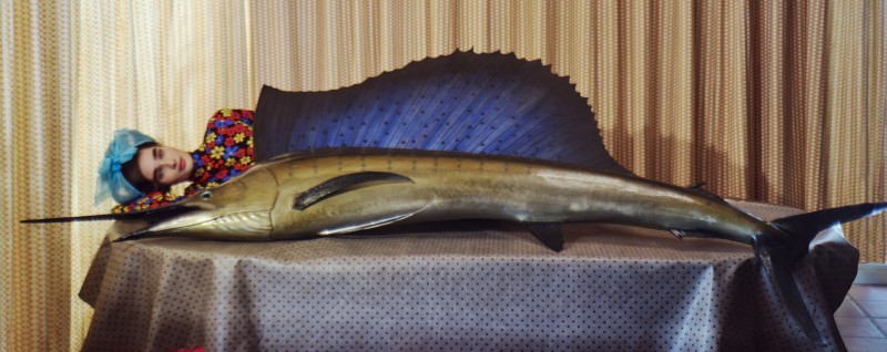 double_domestic_0172_v1_graded_v2