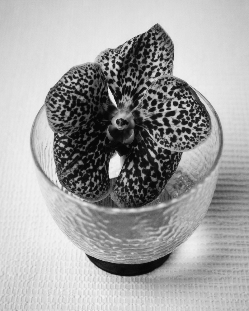 2552_imagine_jl250205_zara-home_22_srgb_f1