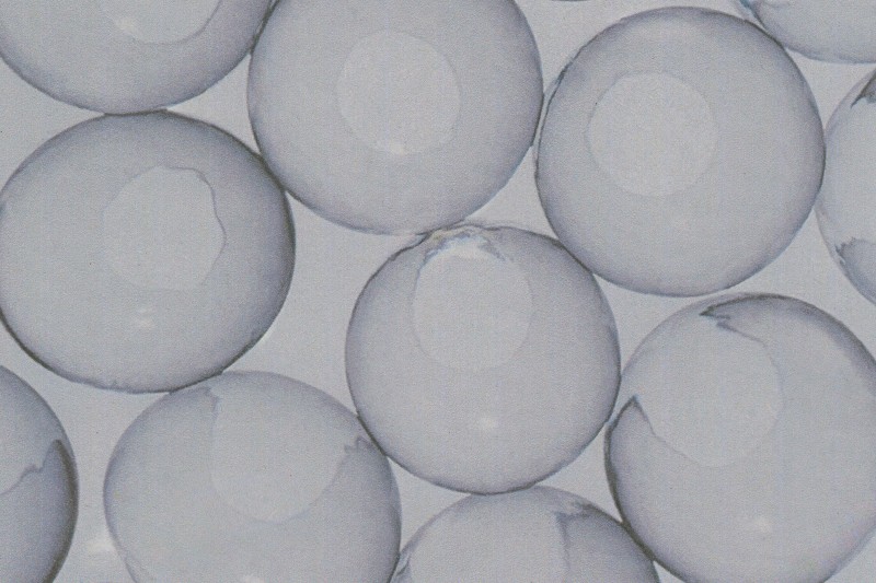 mv_join_life_fiber_03